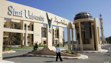 Photo of مصاريف وتنسيق جامعة سيناء 2025 – 2025 التحديث الرسمى