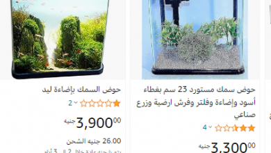 Photo of أسعار حوض سمك زينة 2026