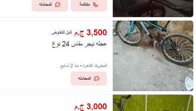 Photo of اسعار العجل النيجر 2026