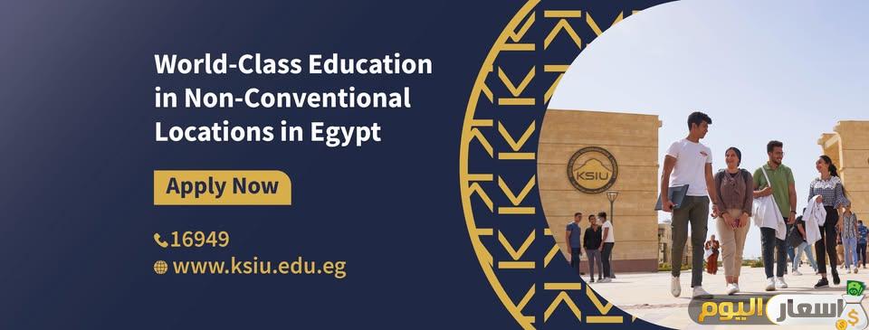 مصاريف جامعة الملك سلمان الدولية