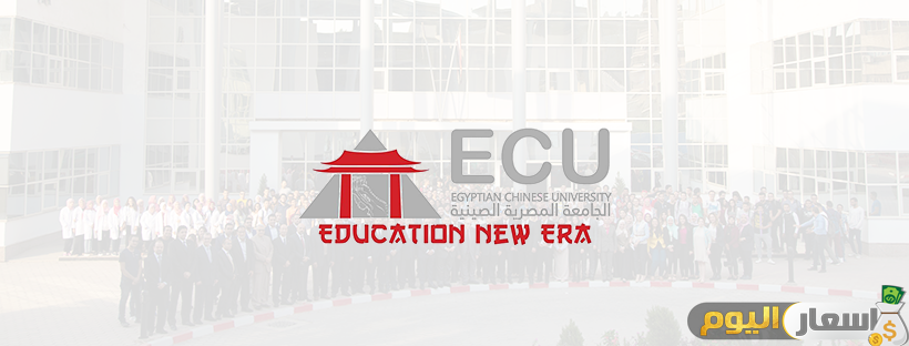 مصاريف الجامعة الصينية في مصر