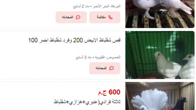 Photo of أسعار حمام الشقلباظ 2026: الأنواع والمواصفات بالتفصيل