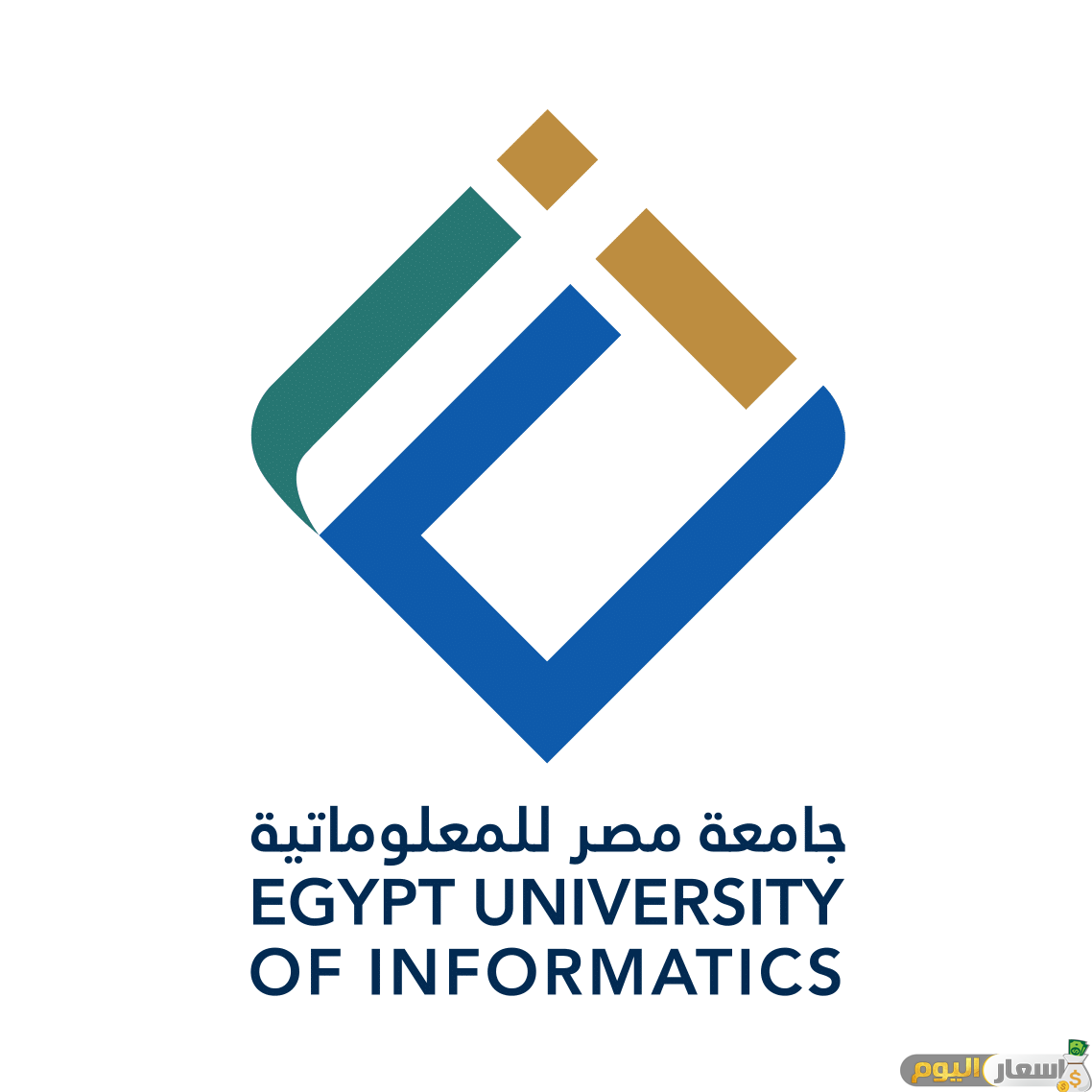 مصاريف جامعة مصر المعلوماتية