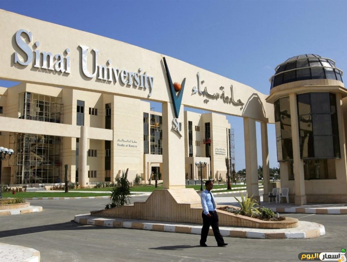 تنسيق جامعة سيناء