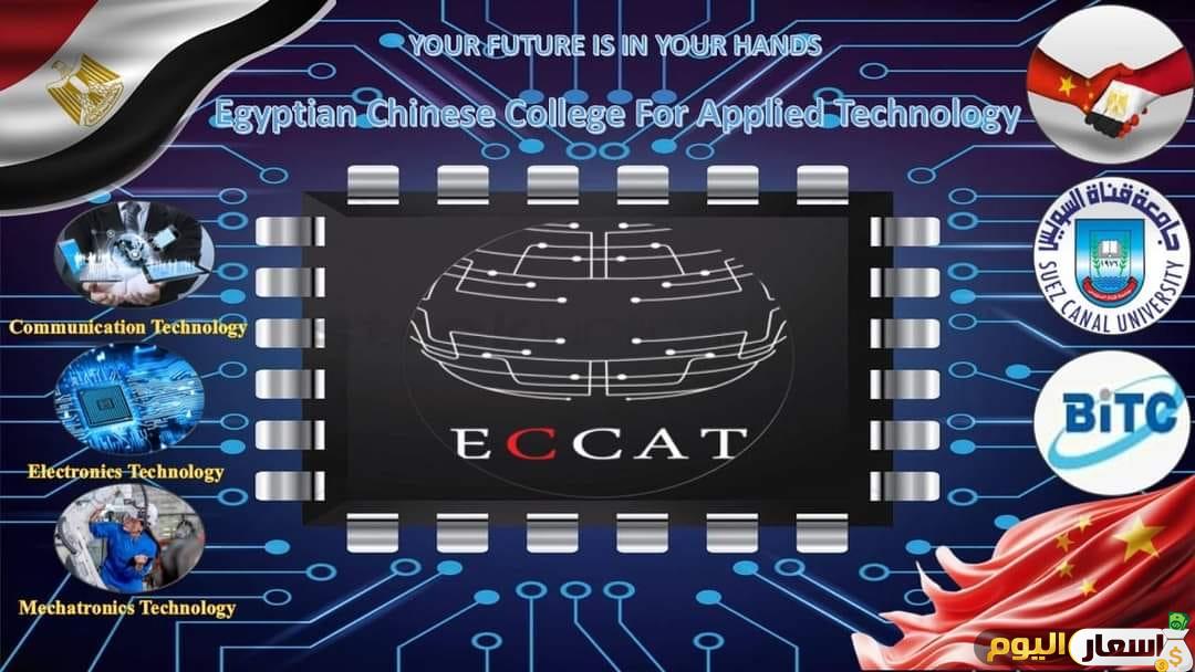 مصروفات الكلية المصرية الصينية للتكنولوجيا والتنسيق