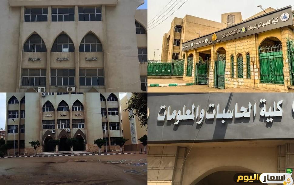 مصاريف كليه حاسبات ومعلومات خاص