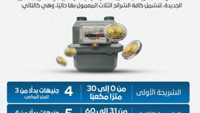 Photo of أسعار شرائح الغاز 2025
