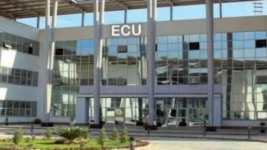Photo of مصاريف الجامعة الصينية في مصر 2025