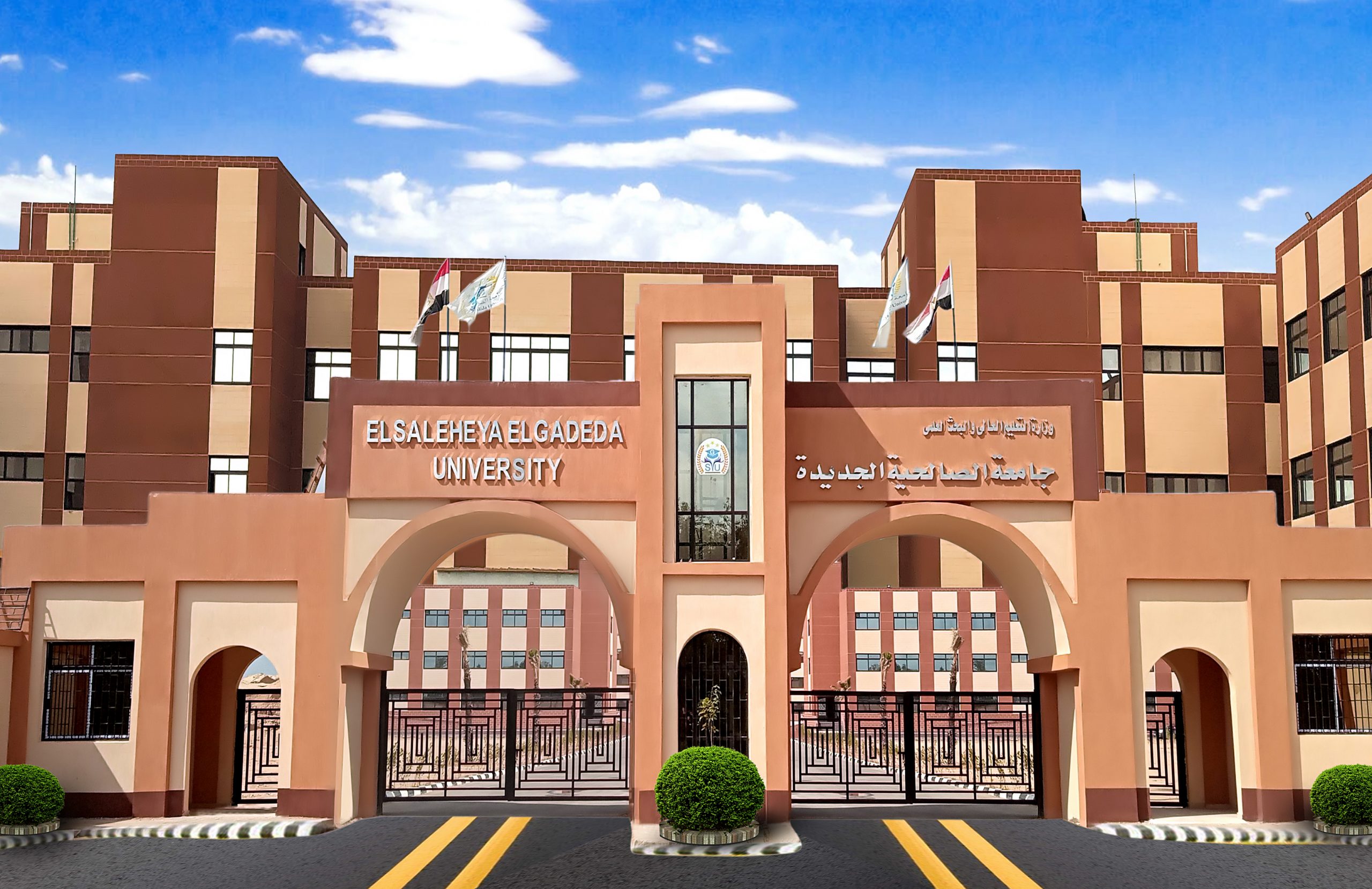 Photo of مصاريف وتنسيق جامعة الصالحية الجديدة 2025-2026