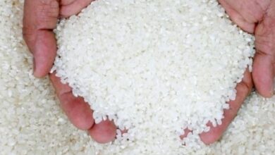 Photo of سعر طن الارز اليوم محدث 2025