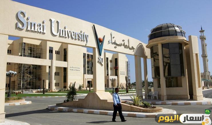 مصاريف جامعة سيناء