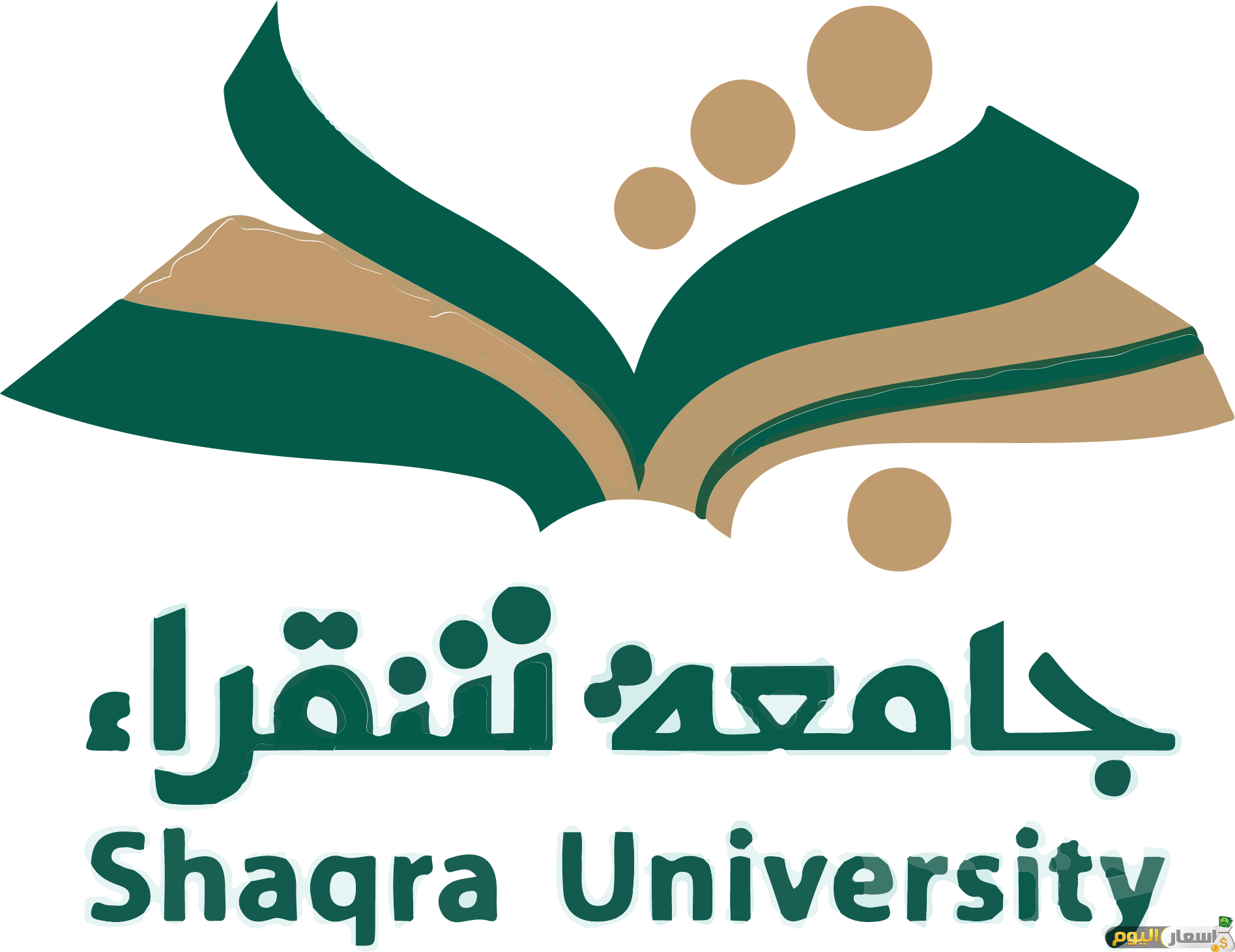 مصاريف جامعة شقراء