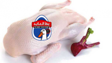 Photo of أسعار بط العابد في أولاد رجب