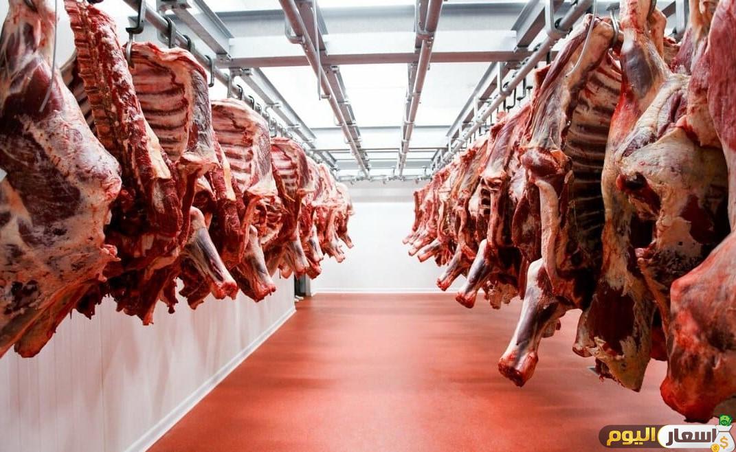 أسعار اللحوم الحية اليوم