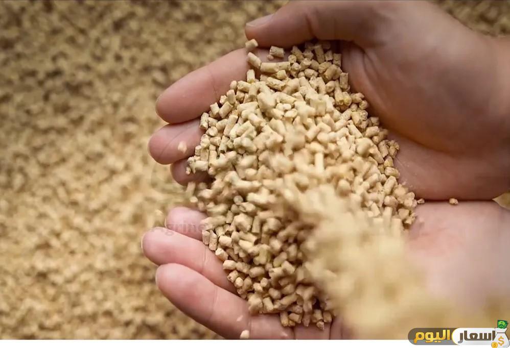 أسعار العلف البادي اليوم