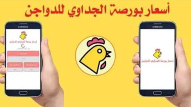 Photo of أسعار بورصة الدواجن الجداوي 2025- بورصة الحاج محمود الجداوي