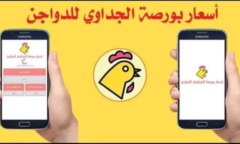 أسعار بورصة الدواجن الجداوي 2025- بورصة الحاج محمود الجداوي
