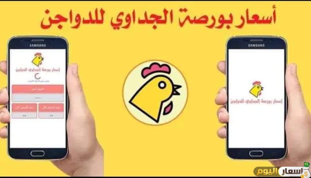 أسعار بورصة الدواجن الجداوي 2025- بورصة الحاج محمود الجداوي