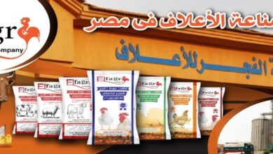 Photo of اسعار علف الفجر اليوم اخر تحديث
