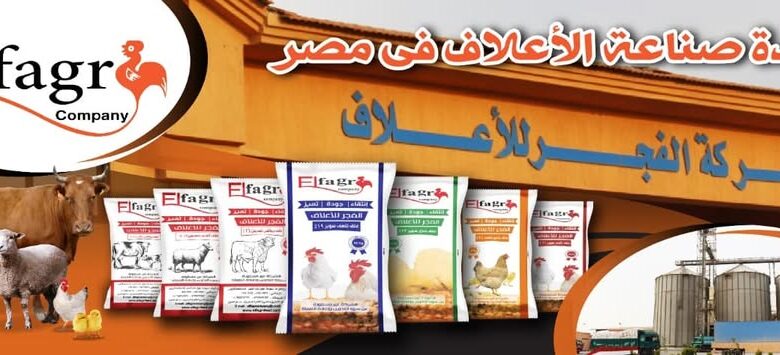 أسعار علف الفجر اليوم في مصر