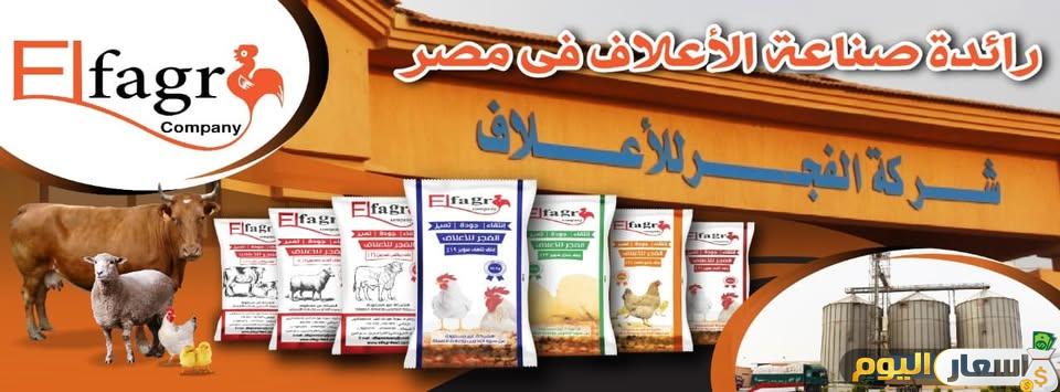 أسعار علف الفجر اليوم في مصر