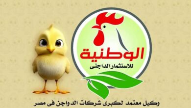 Photo of أسعار كتاكيت الوطنية اليوم
