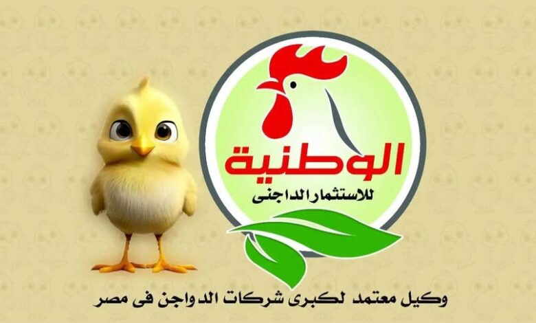 أسعار كتاكيت الوطنية اليوم