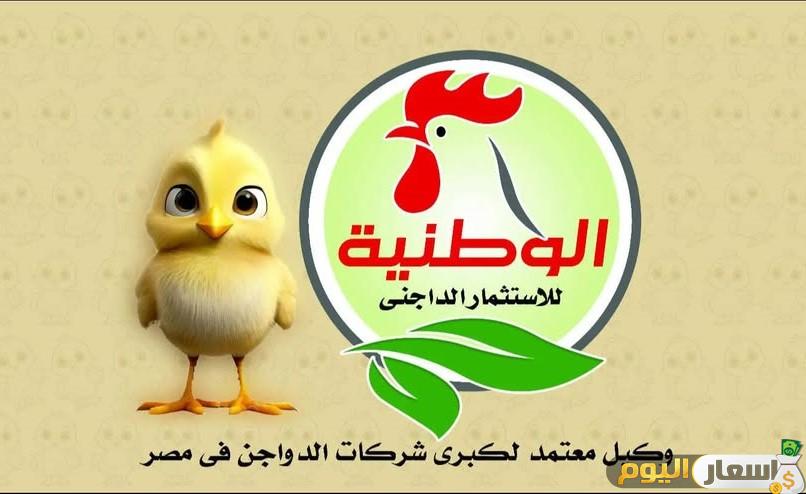 أسعار كتاكيت الوطنية اليوم