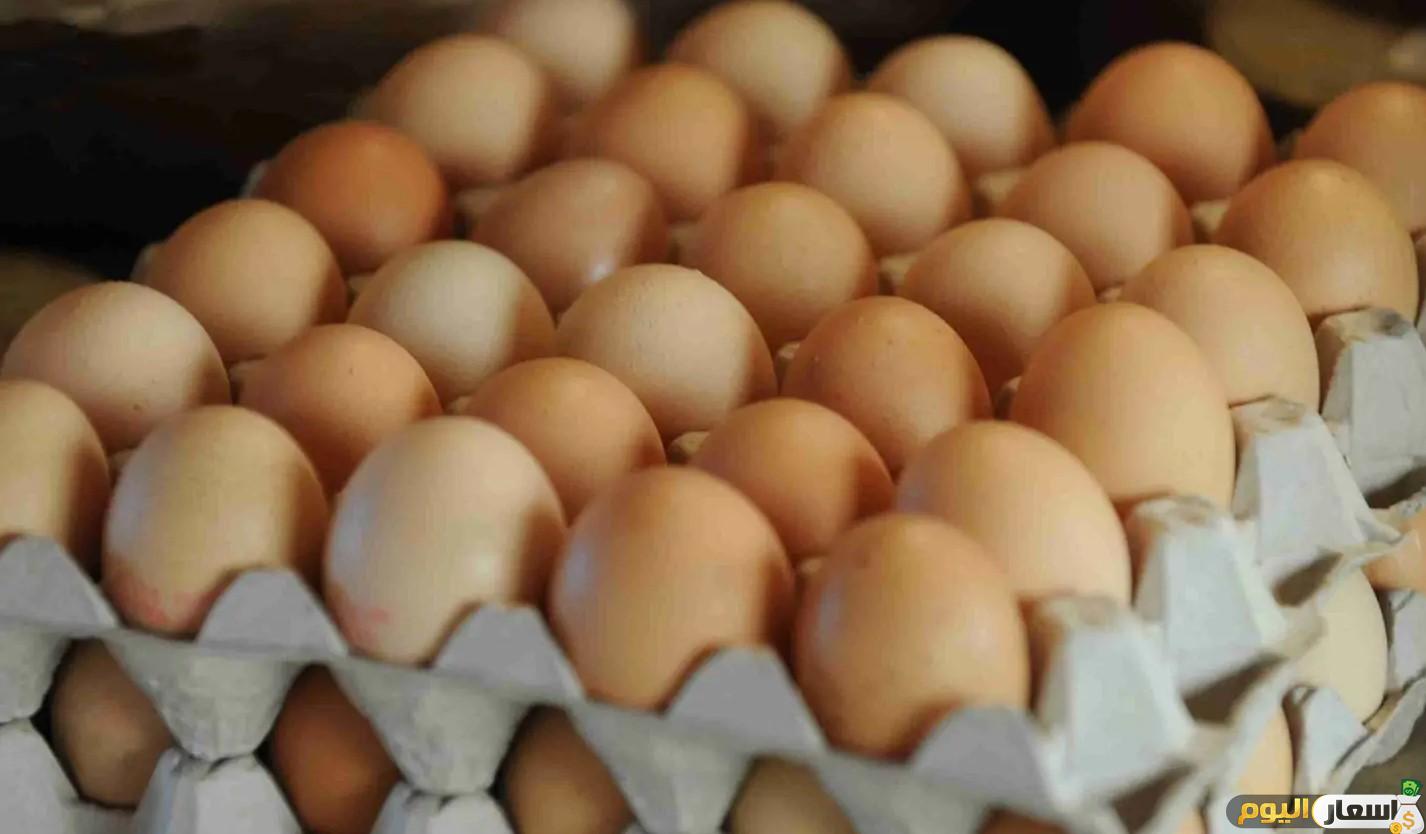 توقعات أسعار البيض غدًا في مصر