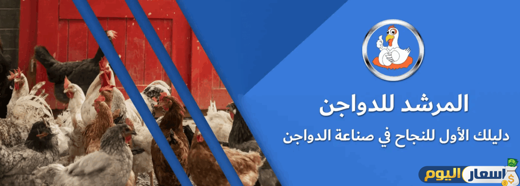 أسعار الدواجن في المرشد للدواجن اليوم