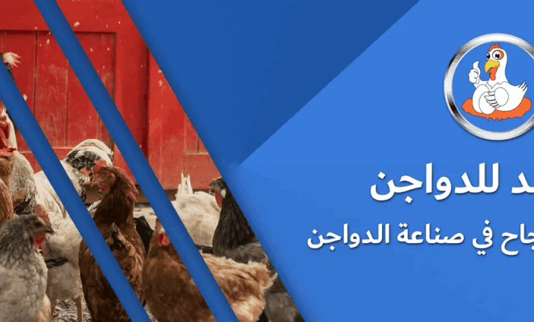 أسعار الدواجن في المرشد للدواجن اليوم