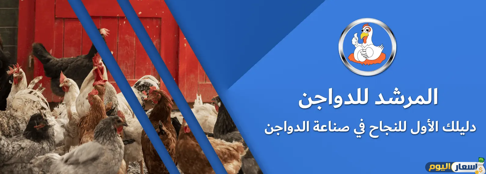 أسعار الدواجن في المرشد للدواجن اليوم