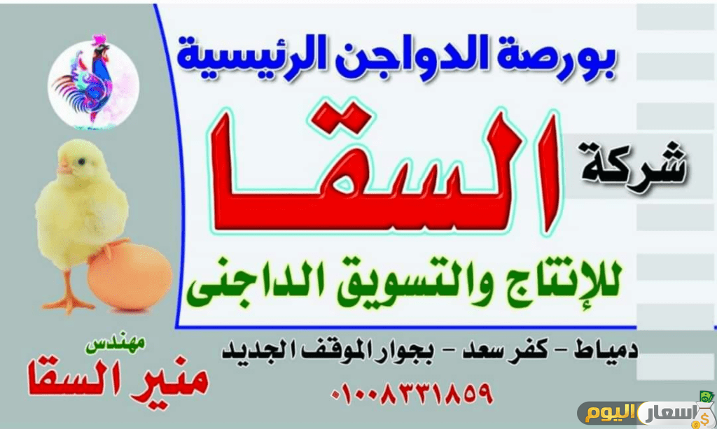 اسعار الدواجن اليوم بورصه الحاج منير السقا