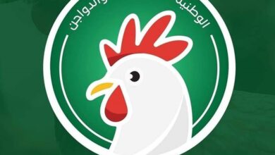 Photo of اسعار كتاكيت الوطنيه اليوم اخر تحديث 2026