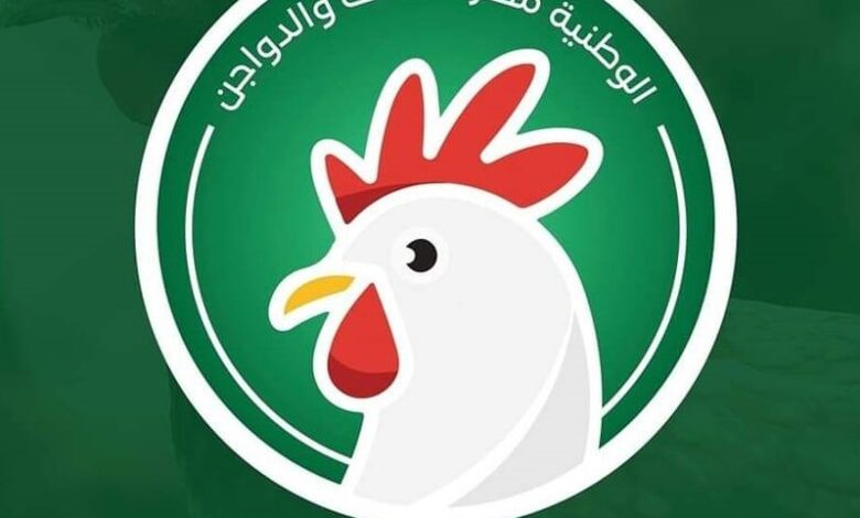 أسعار كتاكيت الوطنية اليوم
