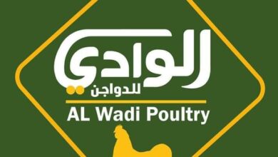 Photo of اسعار الكتاكيت البيضاء في شركة الوادي اليوم 2025