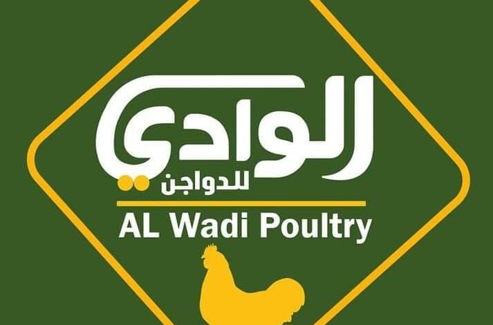 اسعار الكتاكيت البيضاء في شركة الوادي اليوم