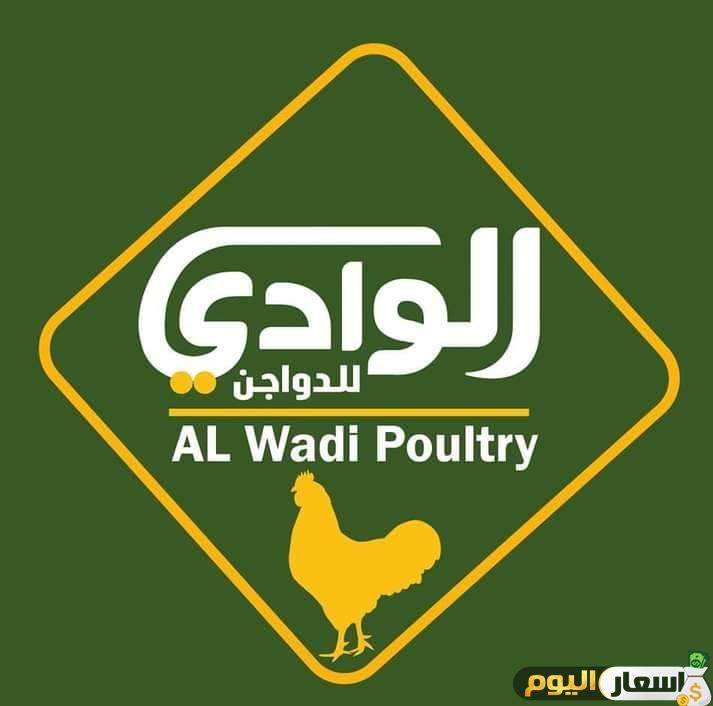 اسعار الكتاكيت البيضاء في شركة الوادي اليوم