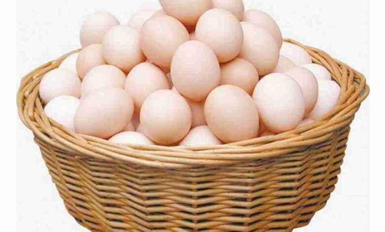 بورصة البيض ببنها أسعار البيض اليوم