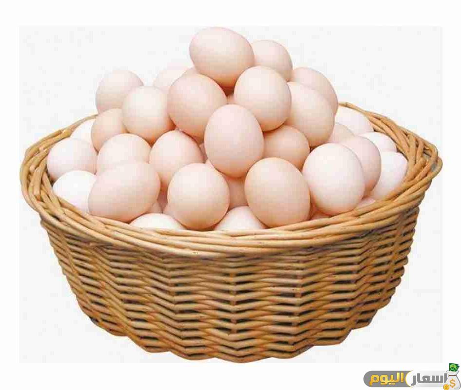 بورصة البيض ببنها أسعار البيض اليوم