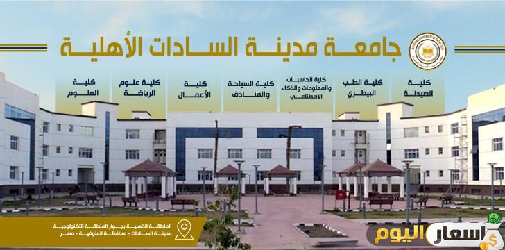 مصاريف وتنسيق جامعة مدينة السادات الأهلية